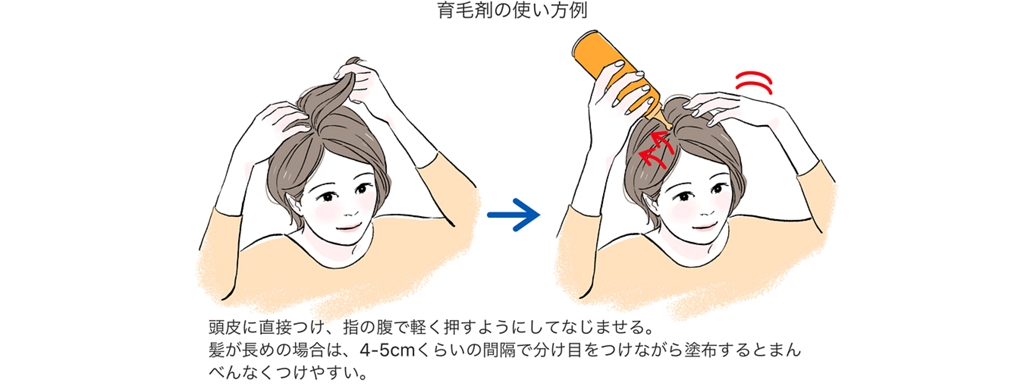 育毛の仕組みと効果について