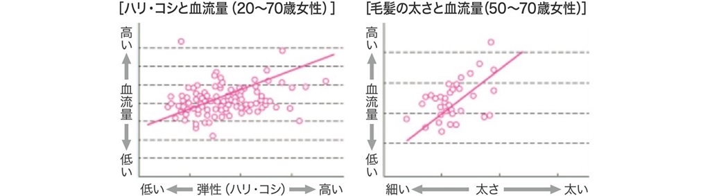 育毛の仕組みと効果について