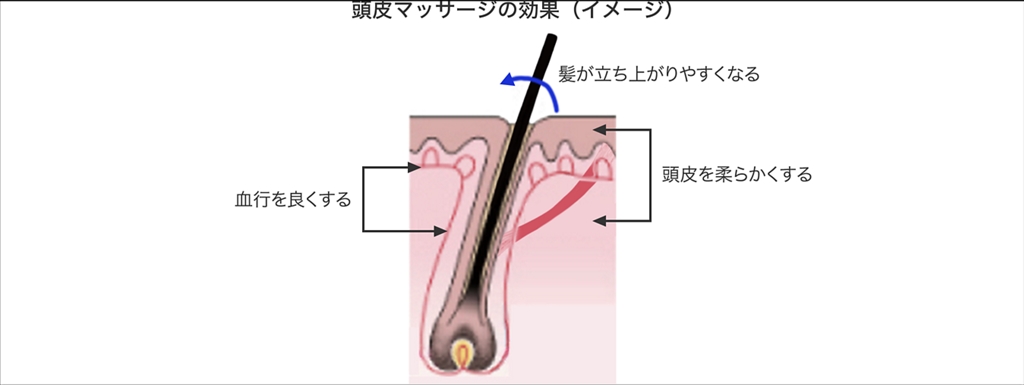 頭皮マッサージの効果と方法