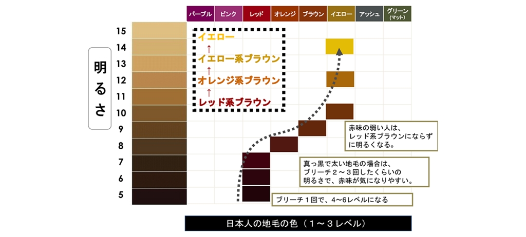 ヘアカラーの色選びの基本 【前編】