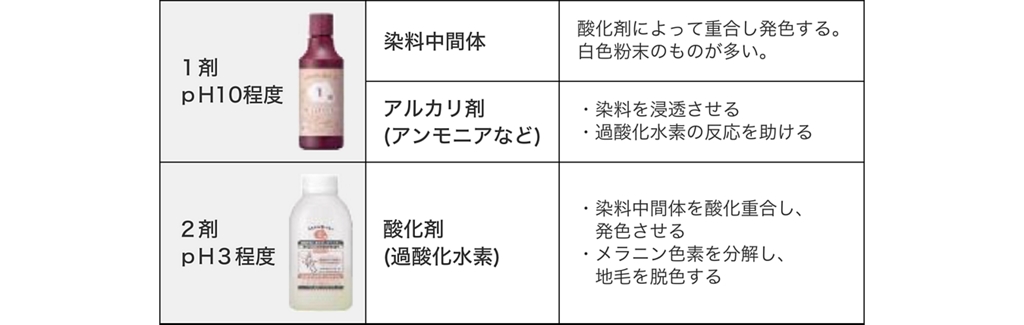 カラー剤の種類について