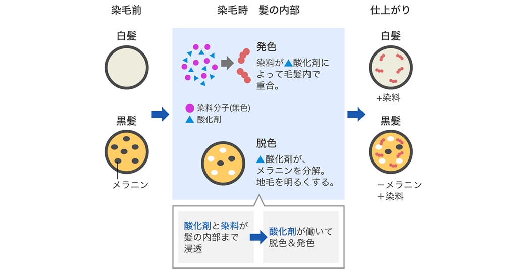 カラー剤の種類について