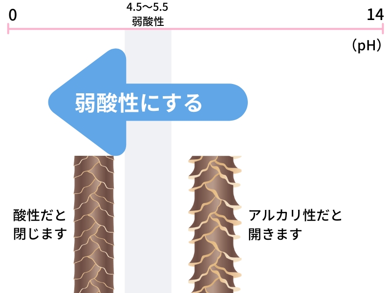 シャンプー後に髪がギシギシする原因と対策【後編】