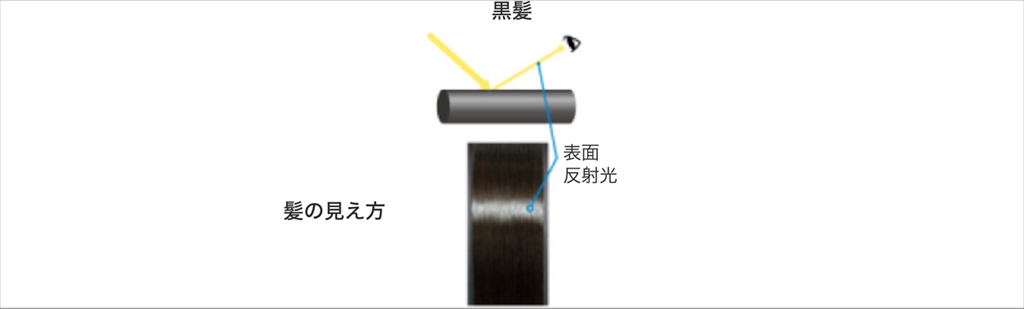 髪のツヤについて