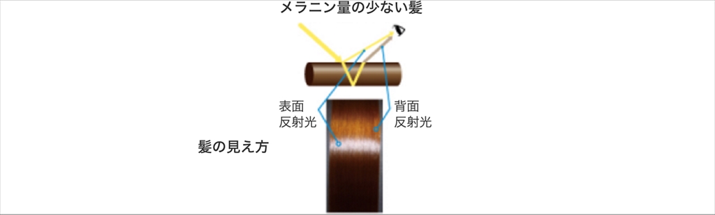 髪のツヤについて