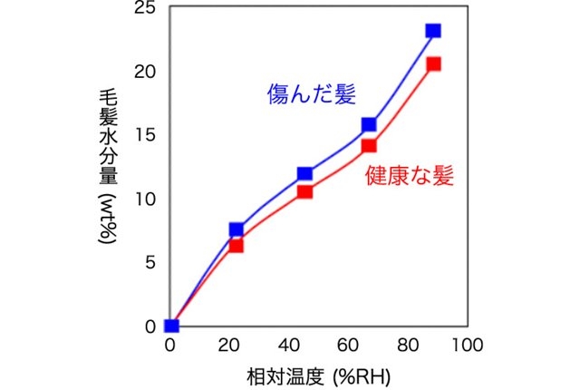 髪のパサつきについて