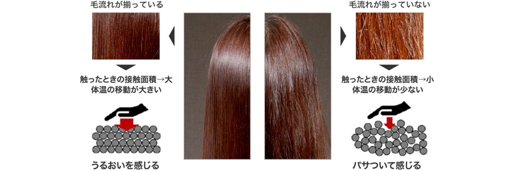 髪のパサつきについて