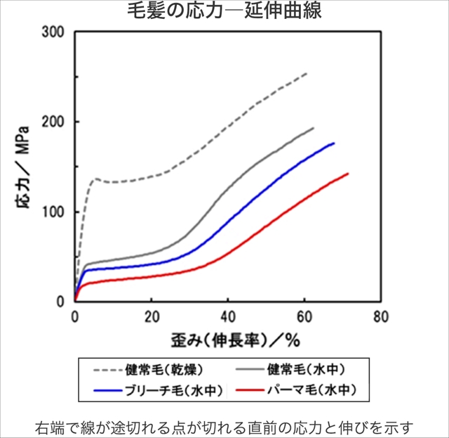 髪は濡れていると傷みやすい