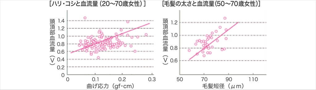 頭皮の基本【まとめ】