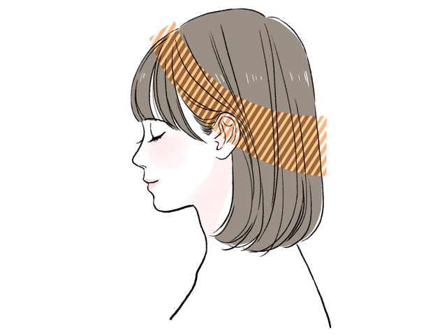 頭皮の基本【まとめ】