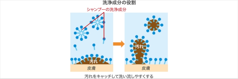 シャンプーについて