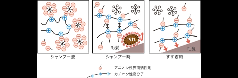シャンプーについて