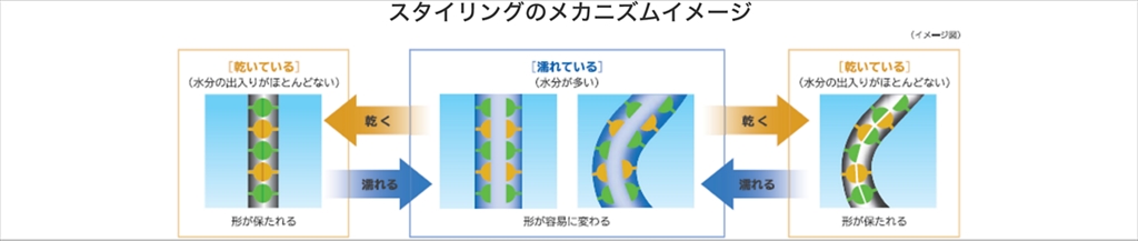 髪に形がつく仕組みとは?